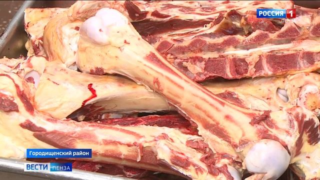 Как сельхозкооператив из Средней Елюзани развивает мясное скотоводства смотреть онлайн