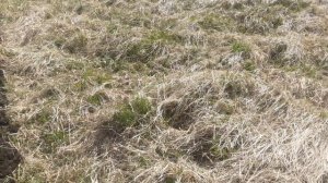 вспахать целину на  участке