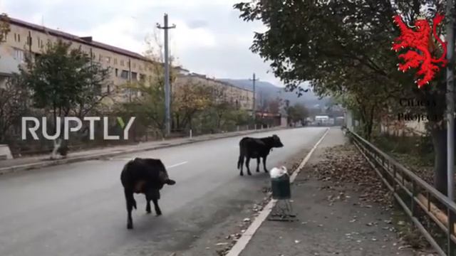Степанакерт прямо сейчас. Мнение местных жителей о произошедшем. #степанакерт#Шуши#новости#Пашинян смотреть онлайн