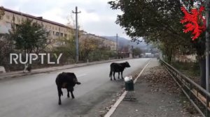 Степанакерт прямо сейчас. Мнение местных жителей о произошедшем.  #степанакерт#Шуши#новости#Пашинян