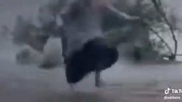 Когда сказал бабушке что хочешь кушать смотреть онлайн