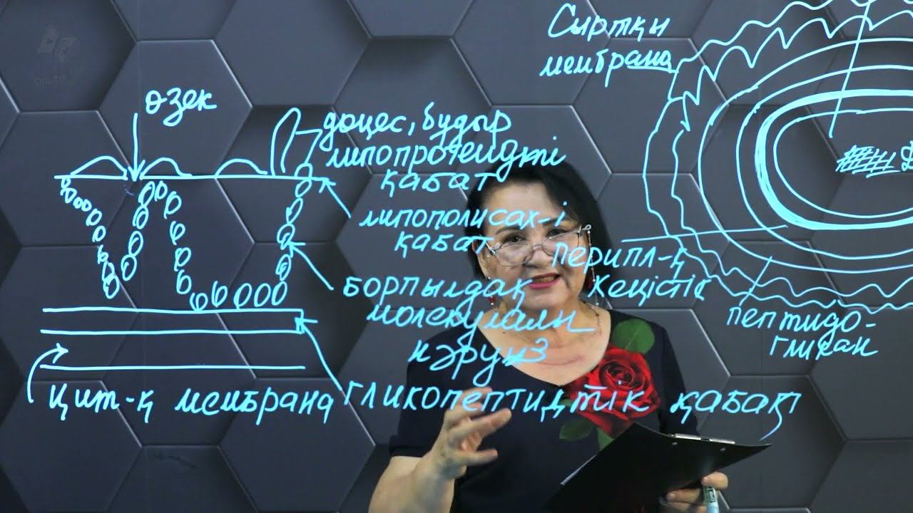 Грам теріс бактериялар. смотреть онлайн