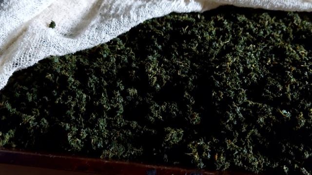 Целебные травы Подмосковья. Иван чай, липовый цвет, зверобой. часть - 1. смотреть онлайн