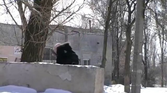 АТБ Ханженково.m4v смотреть онлайн
