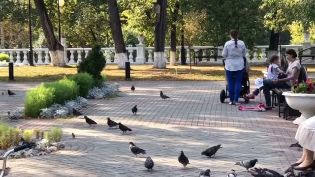 Моя Лена смотреть онлайн