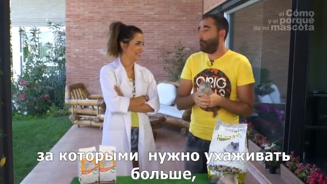 Шиншиллы-купание в песке. Невероятные эпизоды смотреть онлайн