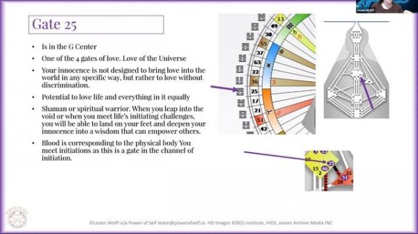 Human Design - Gate 25