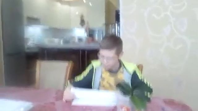5 признаков того что коты и кошки вас любят смотреть онлайн