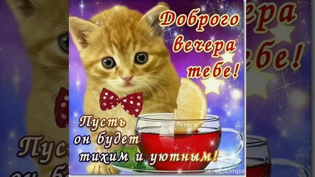 ?|ДОБРЫЙ ВЕЧЕР| Путь в семье всегда будет радость и любовь??| смотреть онлайн