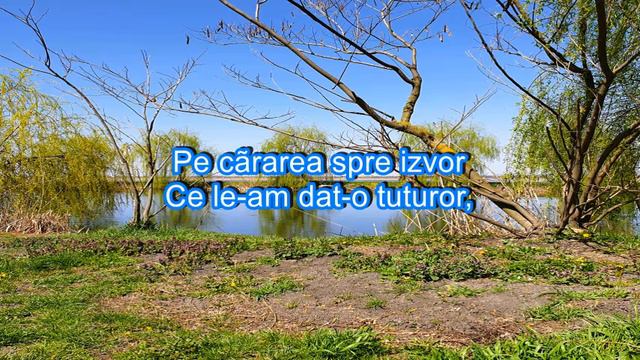 Revedere - Mihai Eminescu  - Versuri ,canta Gheorghe Sarac