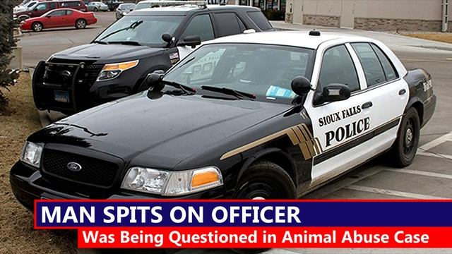 Man Questioned About Abusing Puppy смотреть онлайн