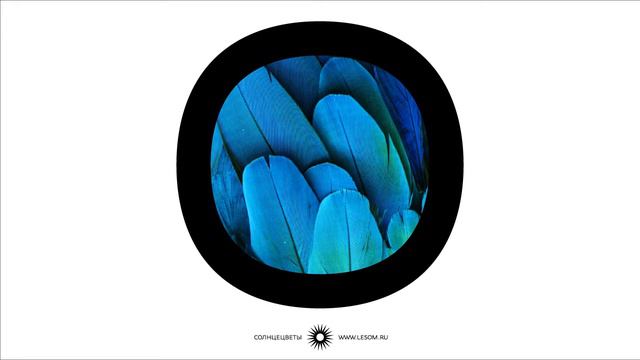 Magical Unicellular Music -- Khan Altay 02 смотреть онлайн