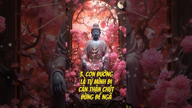 Ghi Nhớ 7 Lời Phật Dạy: Cuộc Sống An Nhiên | Tinh Hoa Phật Pháp смотреть онлайн