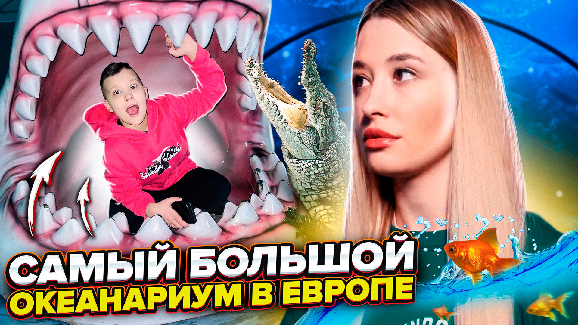 Самый большой океанариум в Европе смотреть онлайн