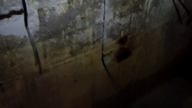 Электромонтаж в панельной трешке.Часть 2 смотреть онлайн