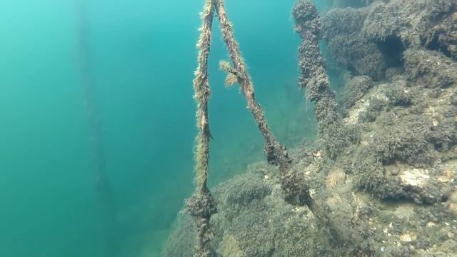 Встреча на Щелковском карьере. смотреть онлайн