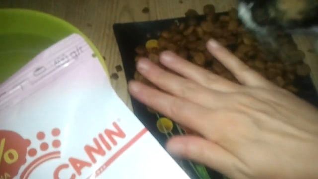 КОРМ РОЯЛ КАНИН ДЛЯ РОДИВШИХ КОШЕК ОТЗЫВ смотреть онлайн