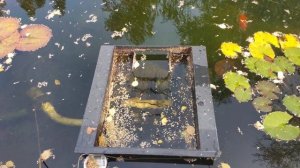 Плавающий скиммер для пруда.