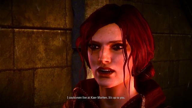 Triss and Geralt Tribute (part 1) смотреть онлайн