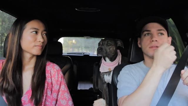 Deaf Man vs. Drive Thru: I Felt Human смотреть онлайн