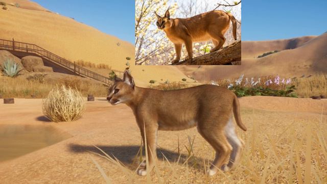 Planet Zoo || Nuevo DLC || Grasslands Animal Pack || DE LOS MEJORES || Análisis y Opinión en Españo смотреть онлайн