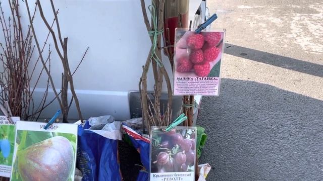 Поездка в Анапу/Купили саженцы в станице Натухаевской/Связала детское платье смотреть онлайн
