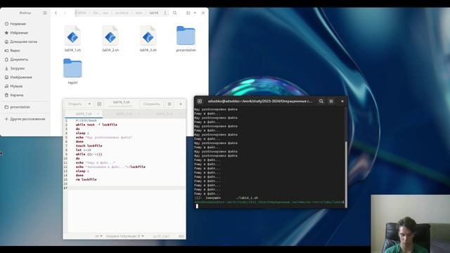 lab14 смотреть онлайн