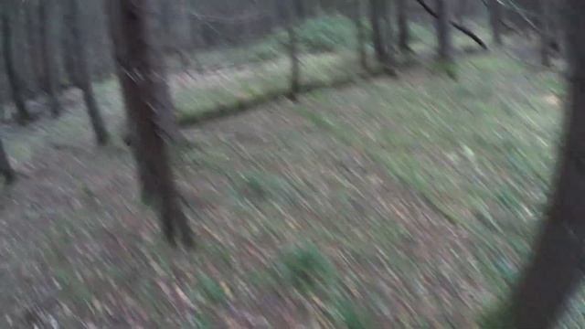 Quest Q20 на фундаменте в лесу смотреть онлайн