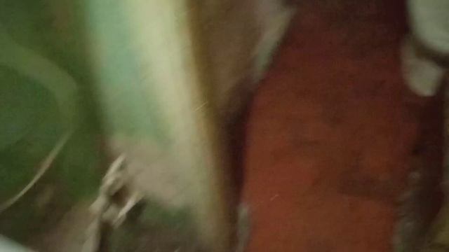 ЖОПА МИРА смотреть онлайн