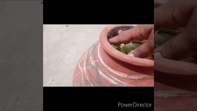 How to make kitchen waste compost#🍂🍁 смотреть онлайн