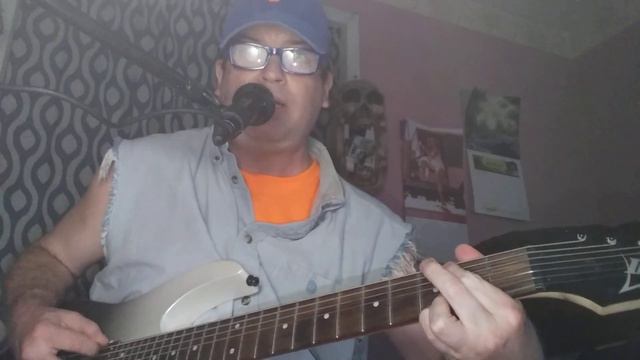 Disconnected By The Radical New York Hillbillies