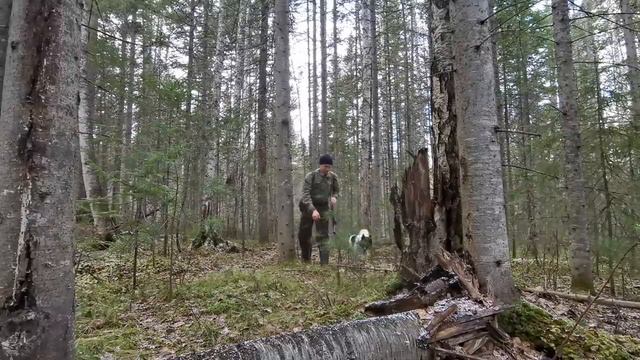 Заезд в тайгу 2020. Открытие путиков. Часть 2 смотреть онлайн