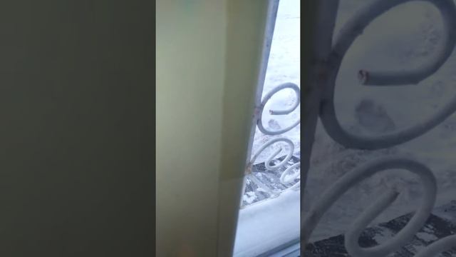 Дом и Восстановление