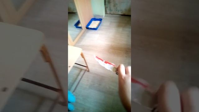 все мои самые лучшие поделки и standoff 2 и counter-strike смотреть онлайн