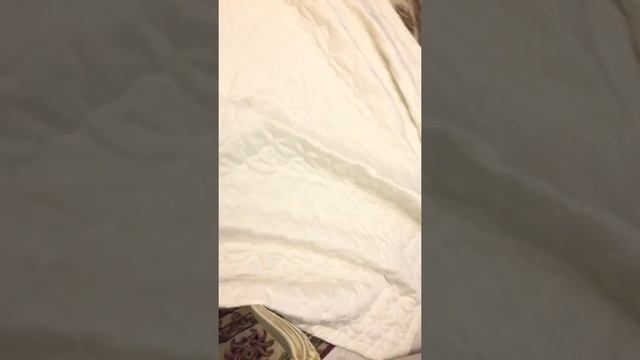 Как сделать твой книжный уголок смотреть онлайн