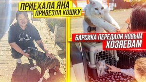 К нам приехала Яна. Барсика передали новым хозяевам. У него теперь есть семья и лучший друг.