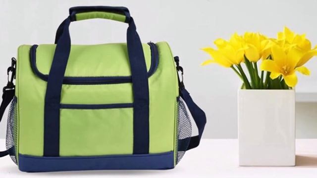 Сумка холодильник с Алиэкспресс Топ 5 AliExpress Fridge bag Крутые вещи с али Сумки для кемпинга смотреть онлайн