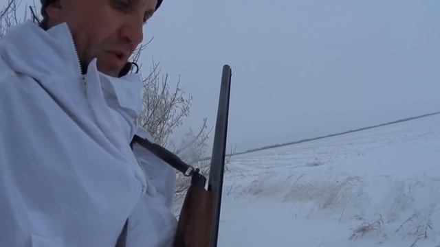 Зайчатники на косулячей охоте смотреть онлайн