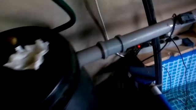 раки умирают памагите смотреть онлайн