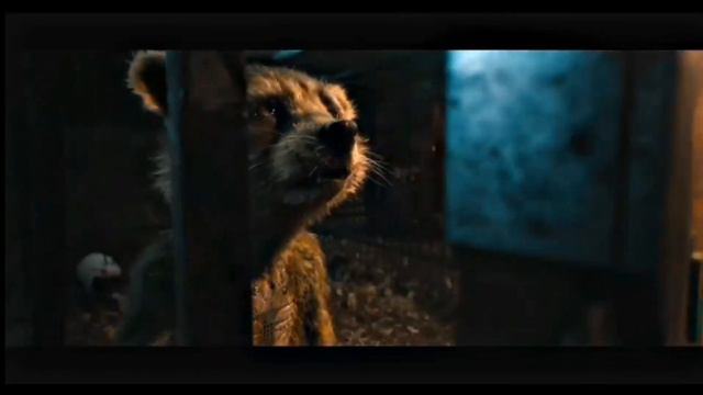 Guardians Of The Galaxy 3 | Dog Days Are Over - Florence And The Machine #guardiansofthegalaxy