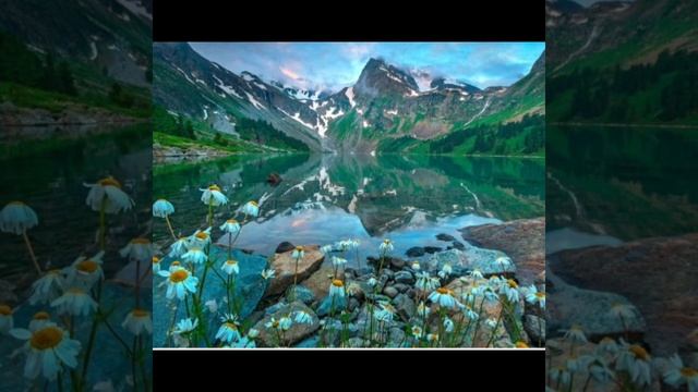 SHAMAN-исповедь ??? смотреть онлайн