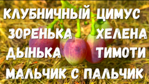 Какое развитие у моих новинок на начало августа?