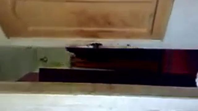 Самая дорогая выставка одежды в мыре ... смотреть онлайн