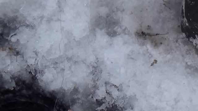 Рыбалка на Гусином озере. смотреть онлайн