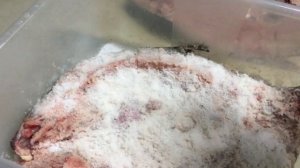 Балык из пиленгаса