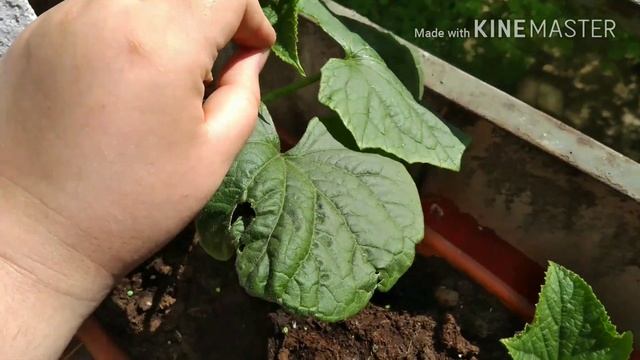 Секреты здоровья и красоты для мам