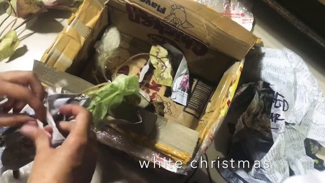 quaranthings ep 1: CALADIUM UNBOXING смотреть онлайн