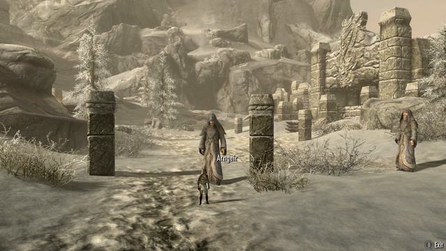 Can You Beat Skyrim As A Cat?