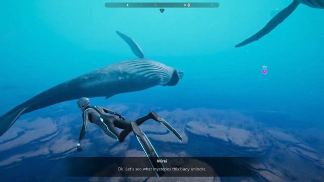 Beyond Blue Gameplay (PC HD) смотреть онлайн