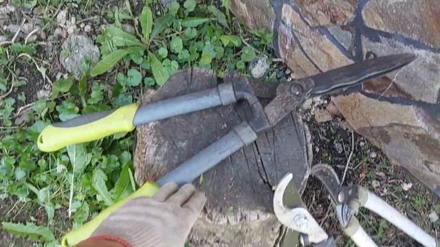 Стрижка живоплоту частина 1. смотреть онлайн